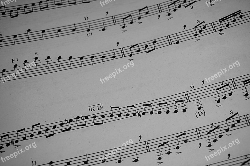 Music Partition Musical Composition Music Sheet Melody