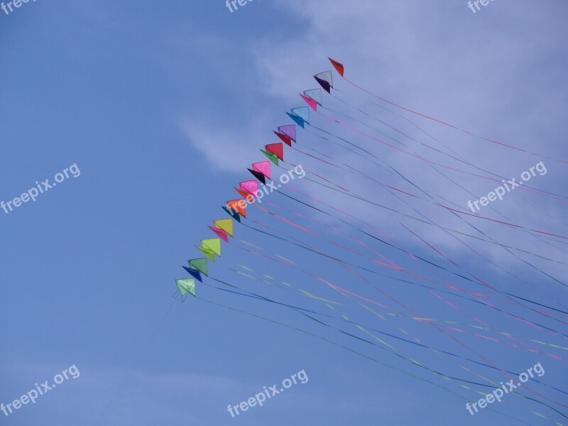 Free Time Activity Kite Colors The Sky