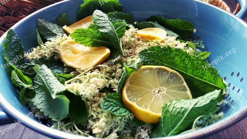 Elder Mint Lemon Herbs Green