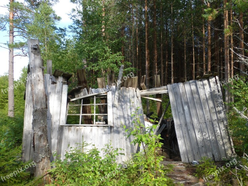 Hut Collapse Housebuilding Forest Olg