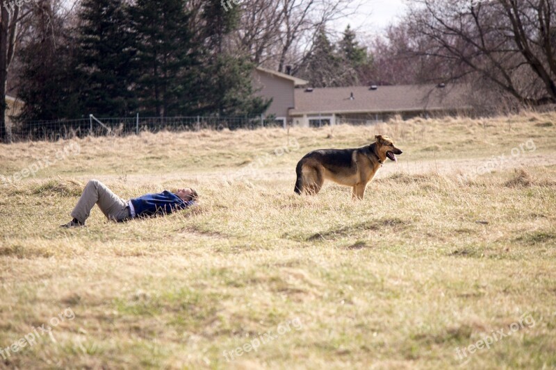 Park German Shepard Dog Outdoors Resting