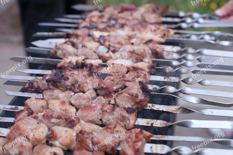 Shish Kebab Barbecue Meat Food Tasty