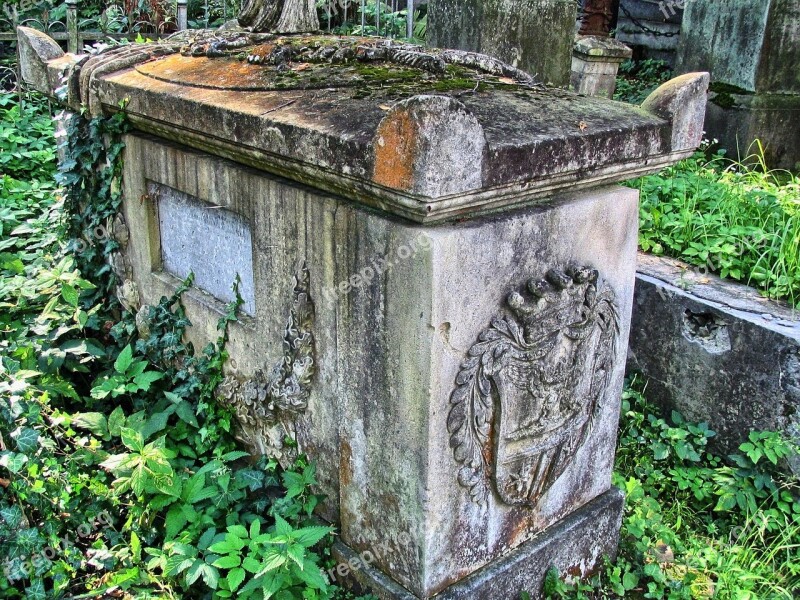 Cemetery Lychakiv Cemetery Necropolis Lions The Tomb Of