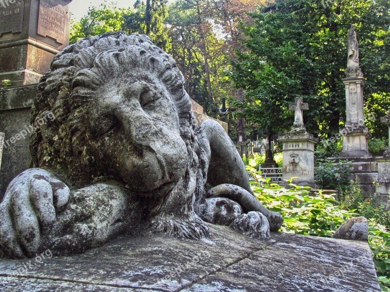 Cemetery Lychakiv Cemetery Sculpture Necropolis Lions