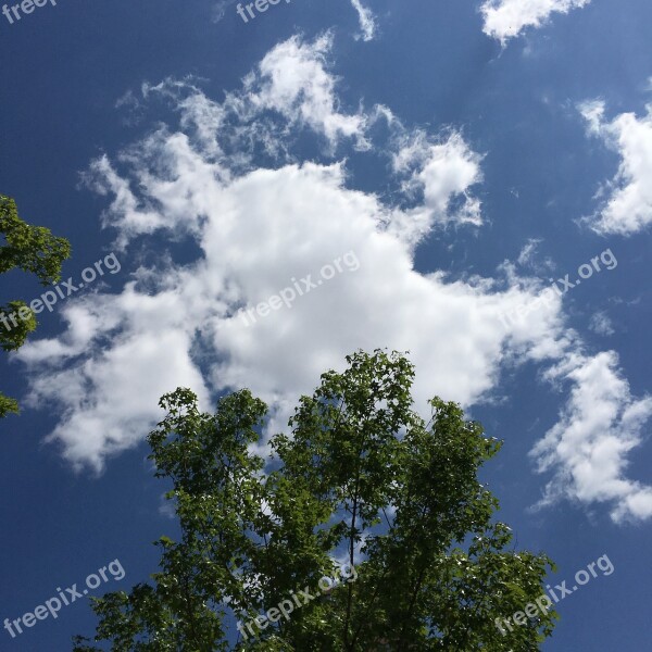 Blue Sky And White Clouds Good Weather Blue Skies Free Photos