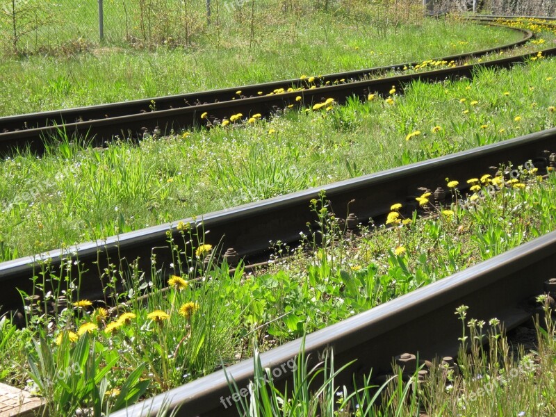 Track Railroad Track Rails Meadow Spring