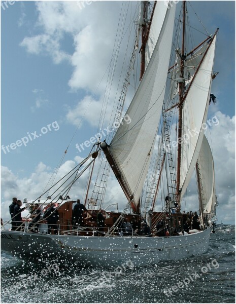 Marine Beautiful Chicken Star Sailboat Brest 2012