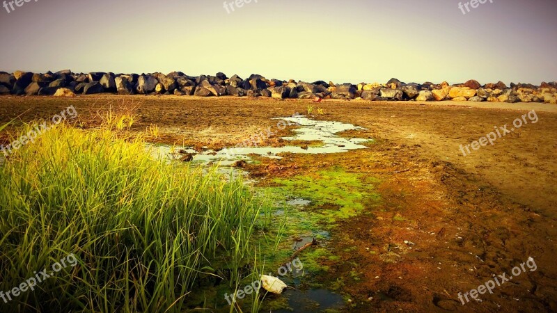 Beach Grass Green Rocks East