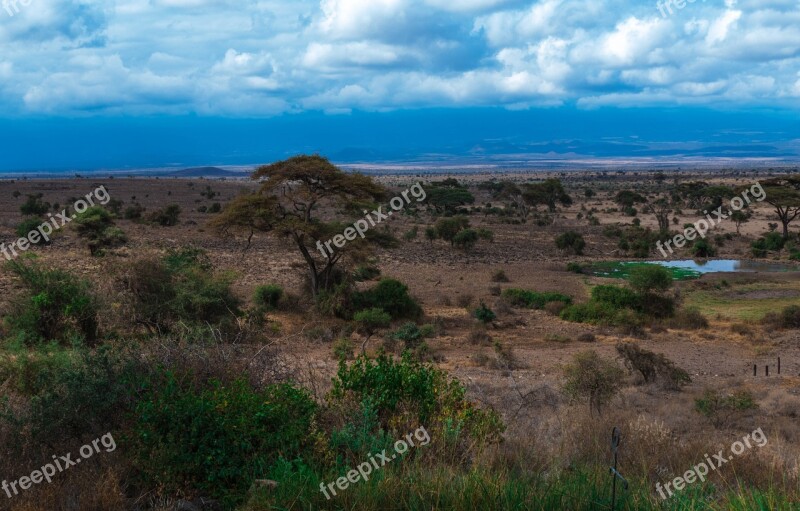 Safari Africa Park Grassland Adventure