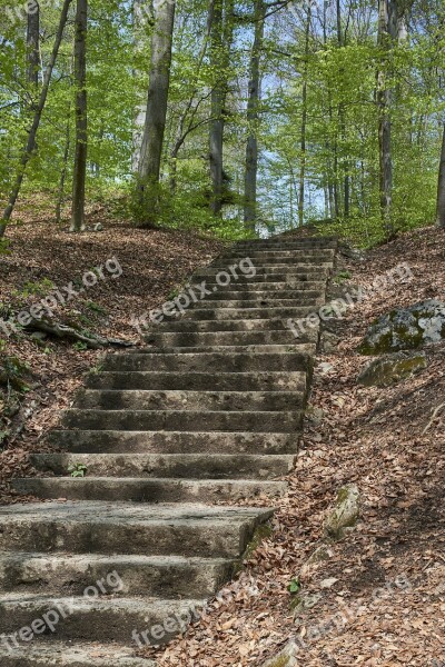 Gradually Forest Path Stairs Rise Stone Stairway