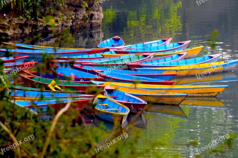 Boat Phewalake Colours Reflection Free Photos