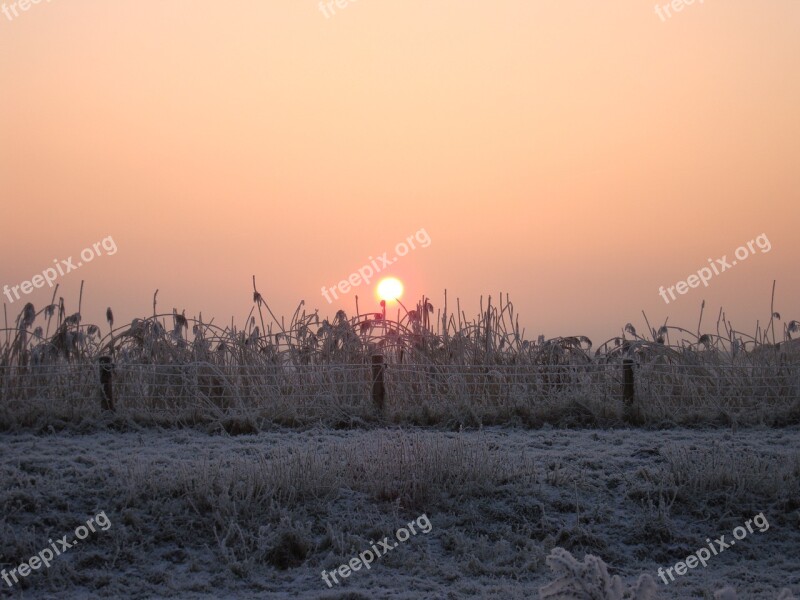 Winter Snow Nature Cold Frost