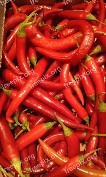 Chili Red Pepper Free Photos