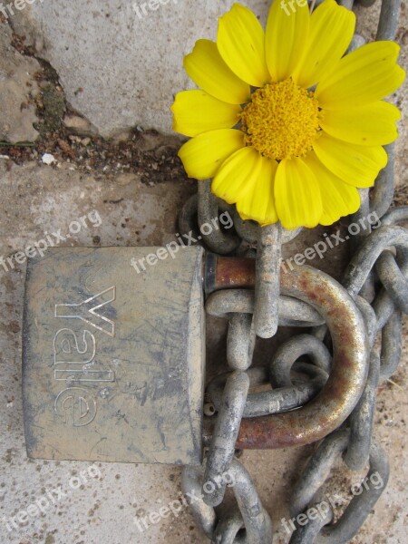 Castle Flower And Closed Key And Lock Yellow Key