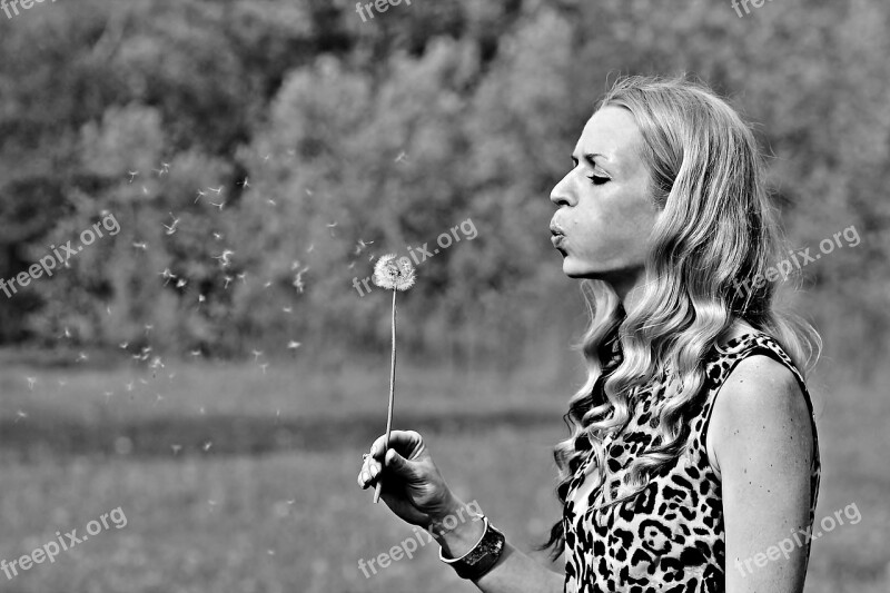 Dandelion Woman Flower Blonde Girl Nice