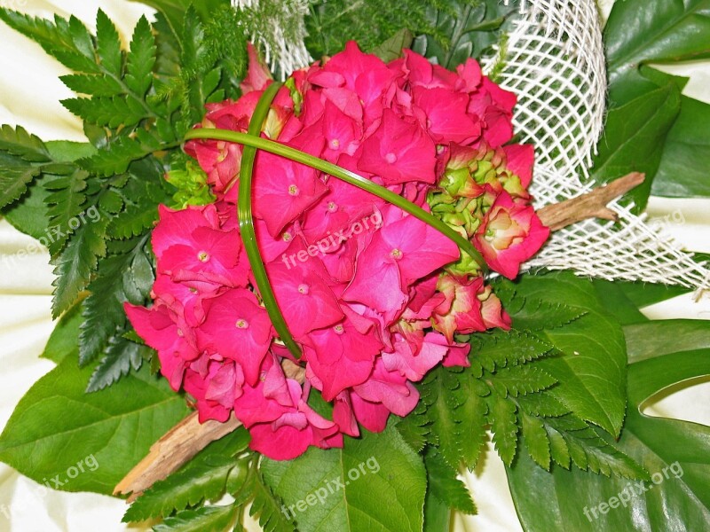 Bouquet Birthday Hydrangea Schnittblume Pink