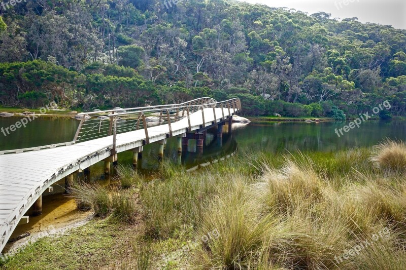 Footbridge Tidal River Wilsons Promontory Boardwalk Pedestrian