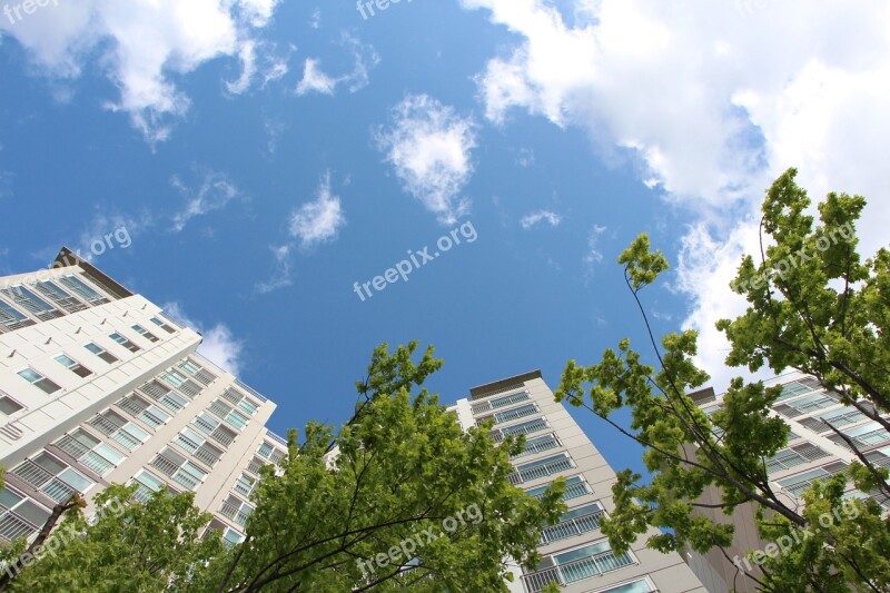 Apartments Sky Wood City Nature