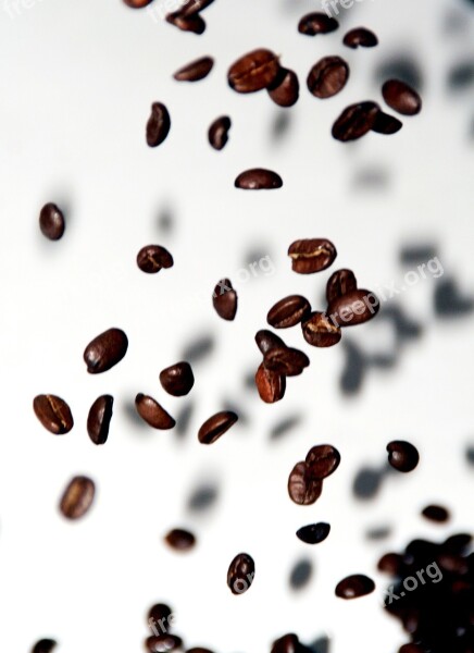 Coffee Beans Coffee Beans Flying Motion Blur