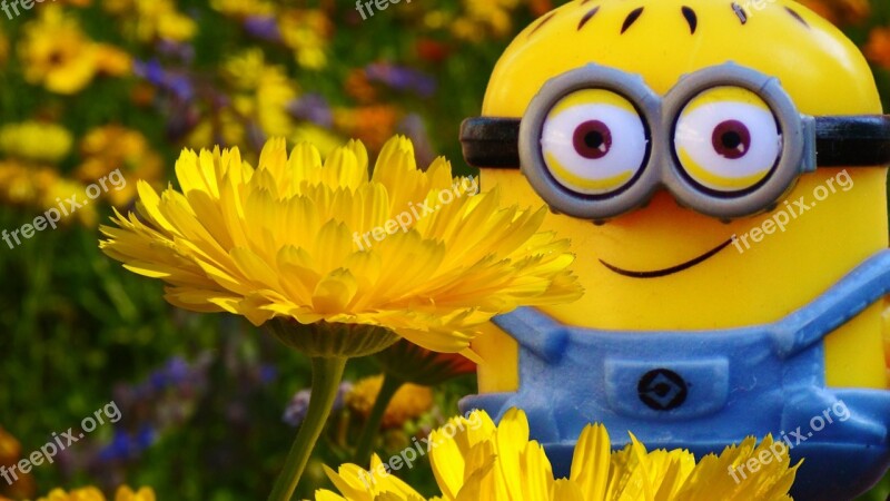 Minion Figure Funny Fun Flowers