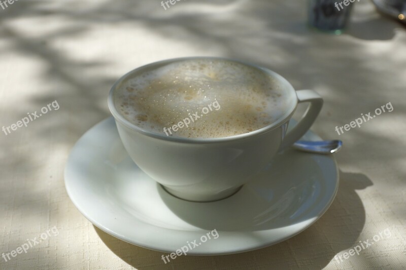 Coffee Café Au Lait Milchschaum Free Photos