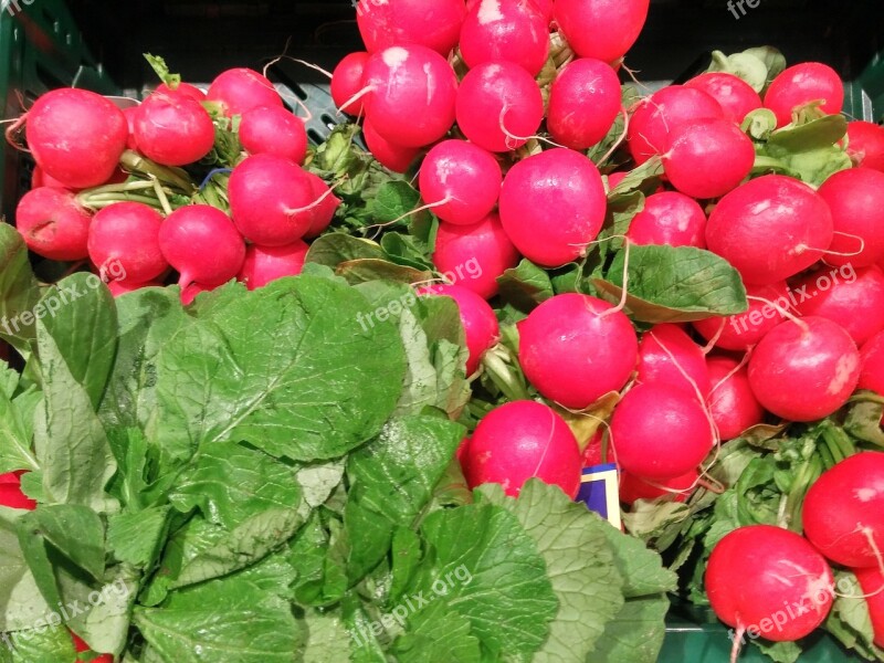 Radishes Vegetables Vegetable Market Food Eat