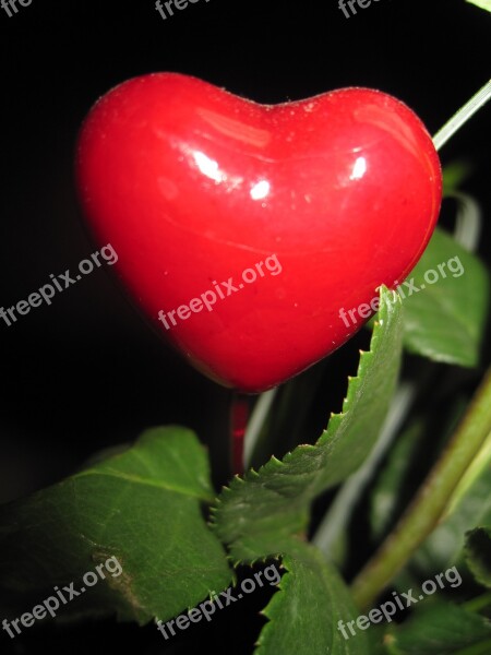 Mother Day Heart Herzchen Love Red I Love You