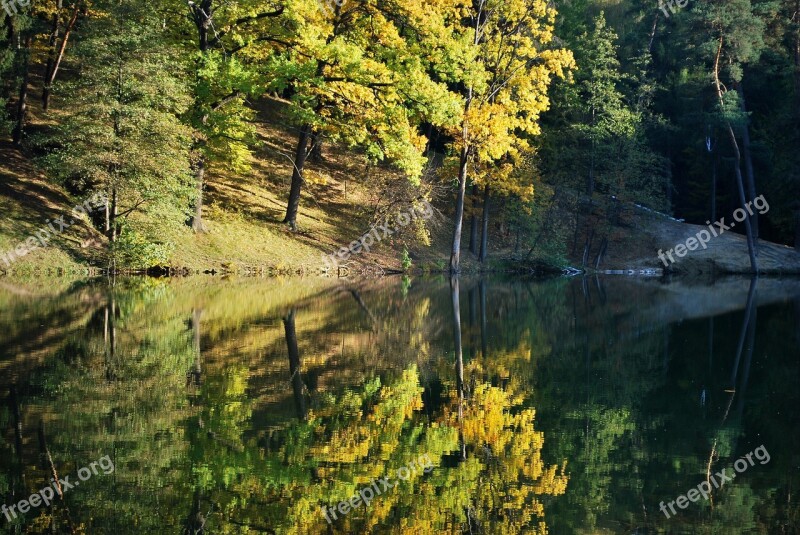 Autumn Forest Nature Golden Autumn Autumn Forest