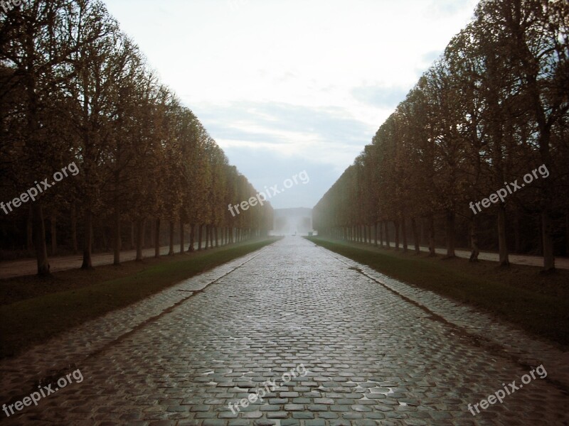 Versaille Paris European Trees Road