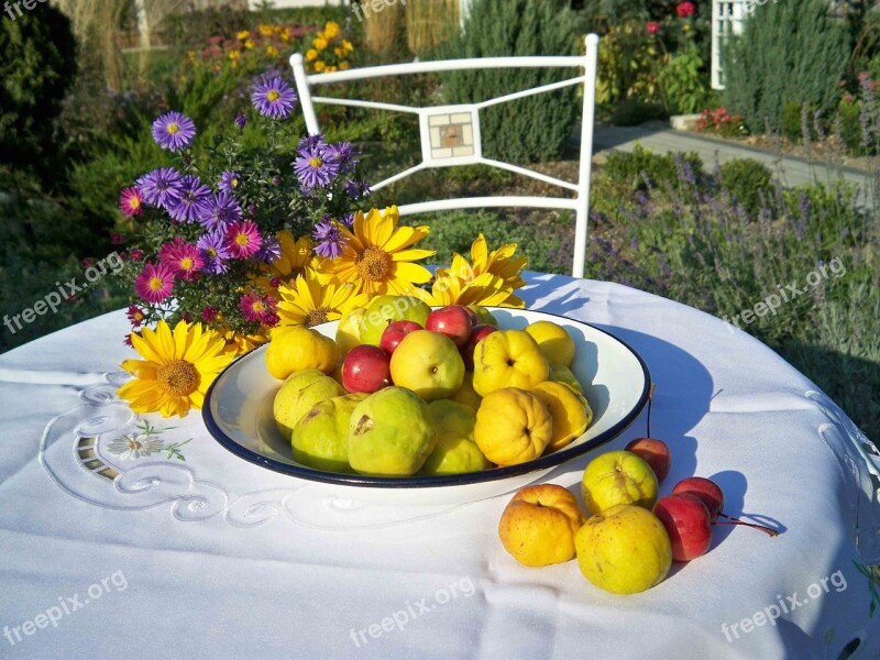 Quince Fruit Eating The Freshness Nature