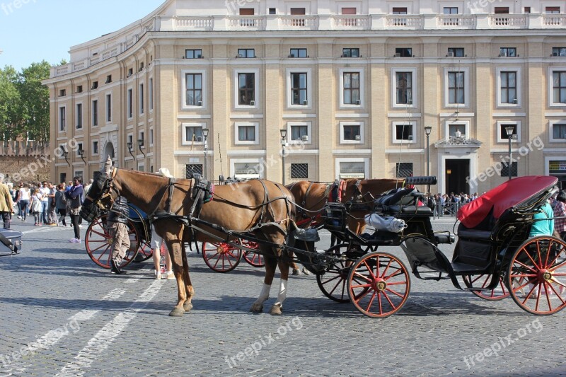 The Coach Horse Retro Old Transport