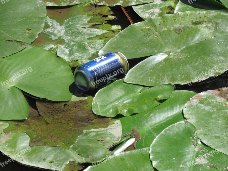 Dust Beer Can Water Lily Water Pollution