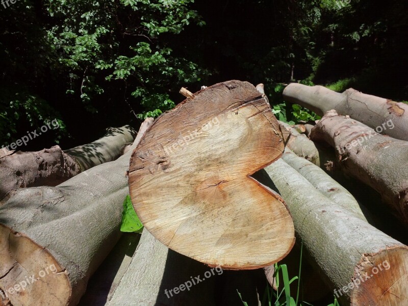 Heart Wood Nature Wooden Heart Log