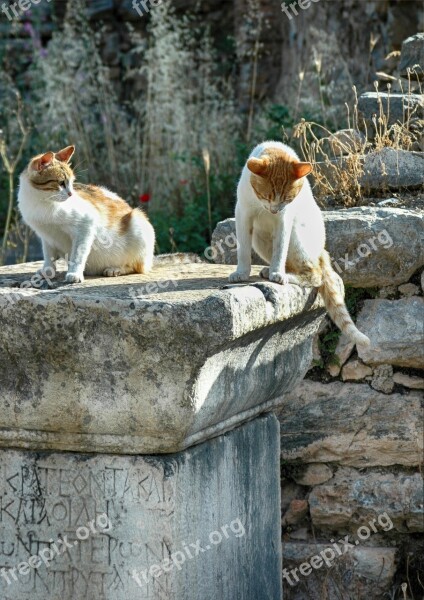 Ruins Remains Ephesus Greek City Asia Minor