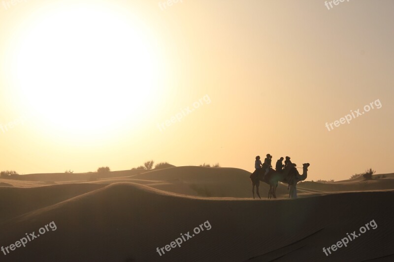 Dubai Desert Safari Camel Sunset