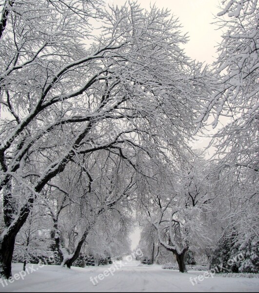 Street Snow Winter Weather Blizzard