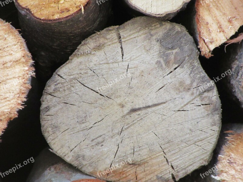 Wood Stack Pile Cut Lumber