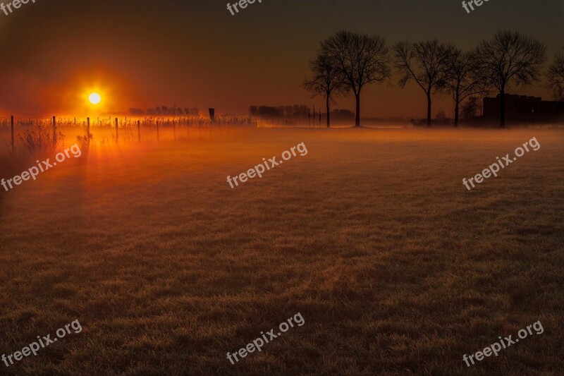 Winter Sentence Meadow Trees Free Photos