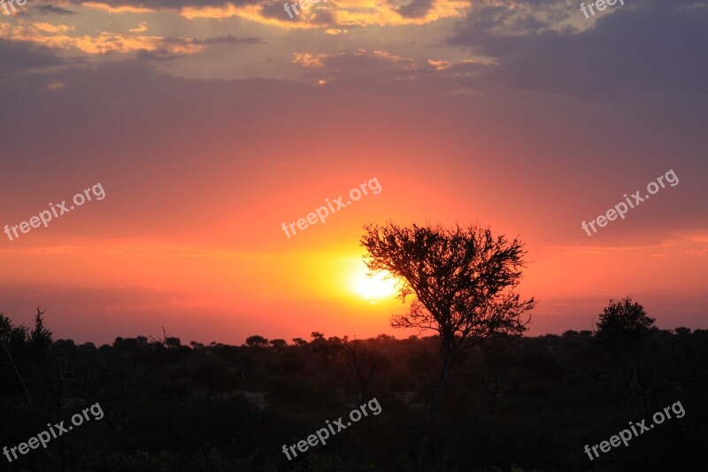 Africa Sun Vacations Safari Nature