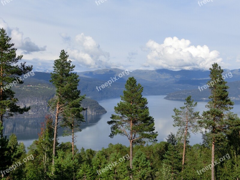 Fjord View Trees Clouds Sky