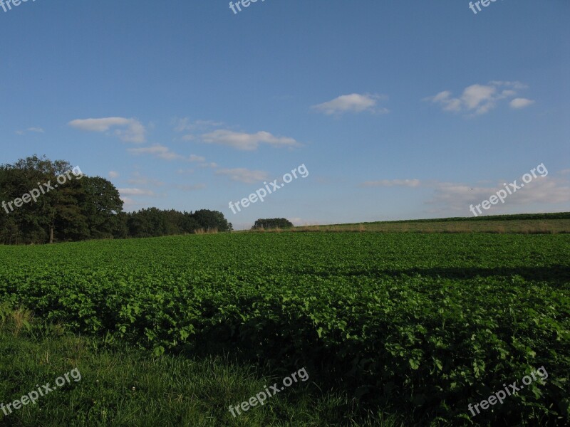 Clouds Green Landscape Nature Meadow