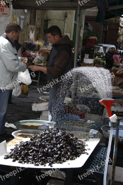 Market Mussels Italy Food Sprinkler