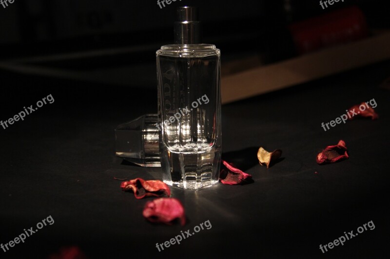 Still Life Photography Glass Dark Rose Petal