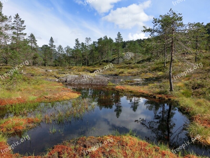 Water Pond Pools Lake Peaceful