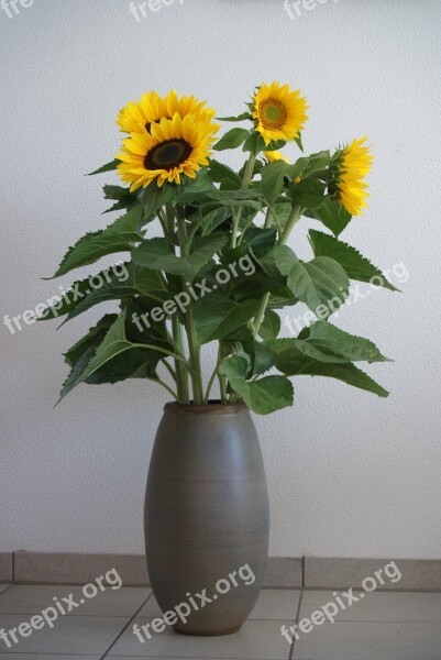 Birthday Bouquet Sunflower Yellow Flower Bright Free Photos