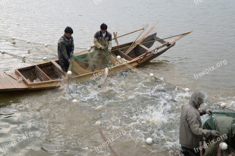 In The Lake Fish The Fisherman Free Photos