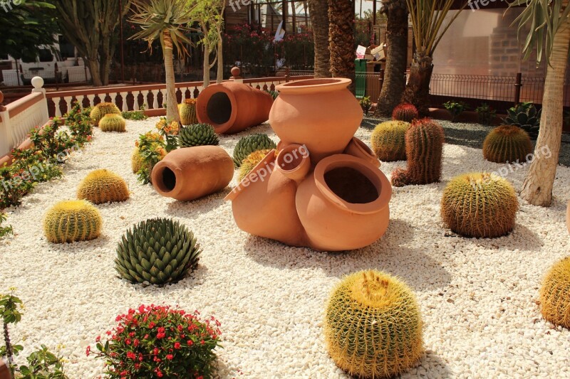 Cactus Lawn Decor Glinenye Gosha Sukulenty