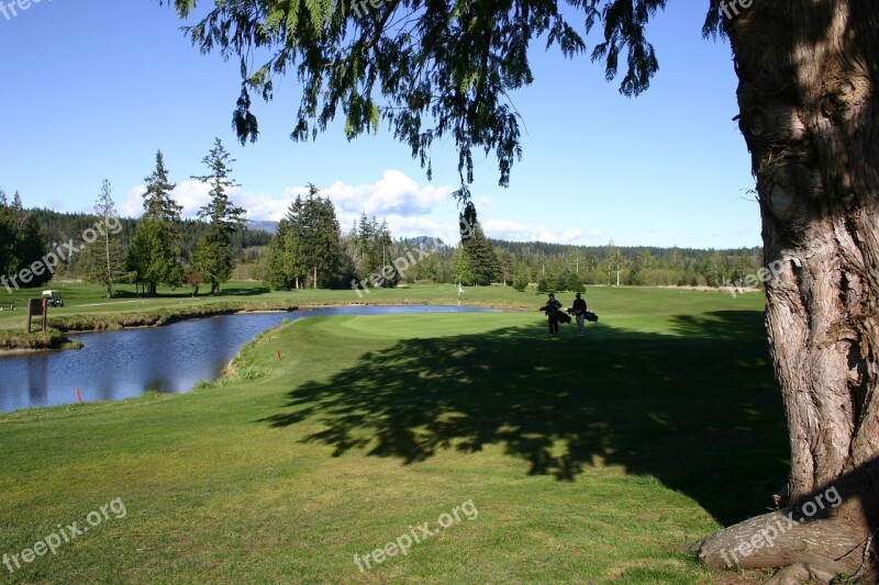 Golf Nature Outdoors Course Grass