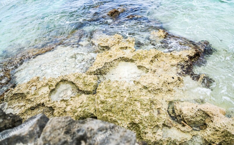 Coral Water Rocks Sea Tropical