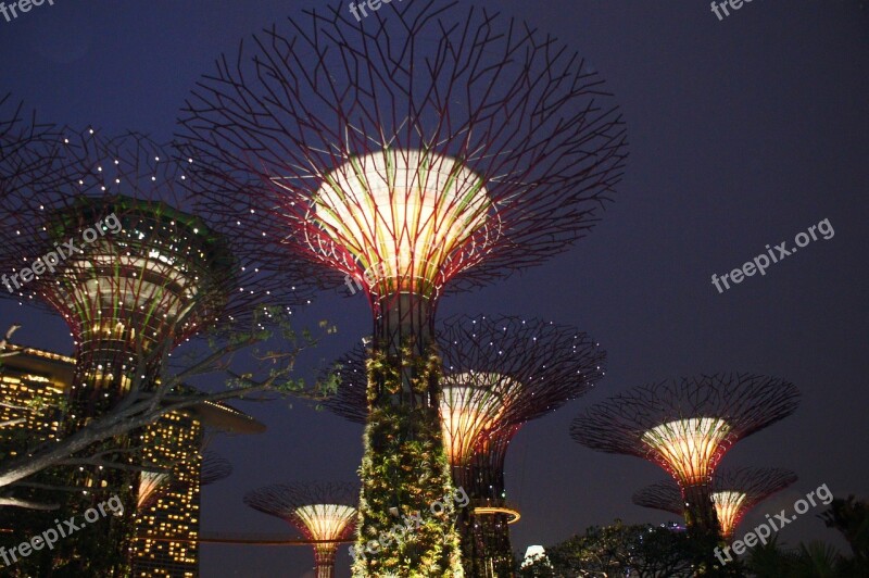 Singapore Garden By The Bay Supertree Singapore Landmark Bay